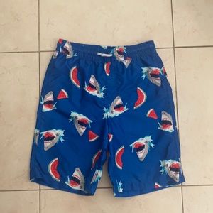 Boys Sharks and watermelon swim trunks